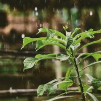 What does the camp do when it rains?